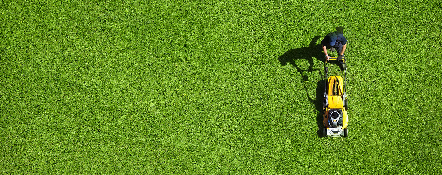 Man mowing grass