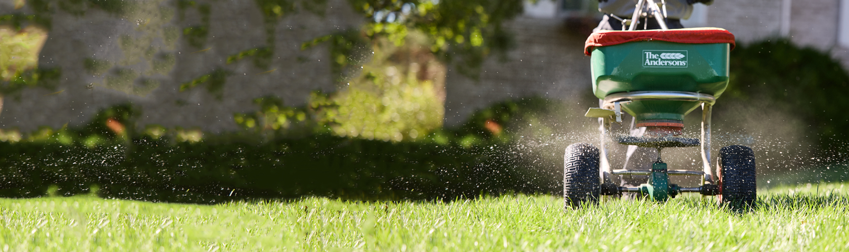 Lawn with aeration and seeding machine