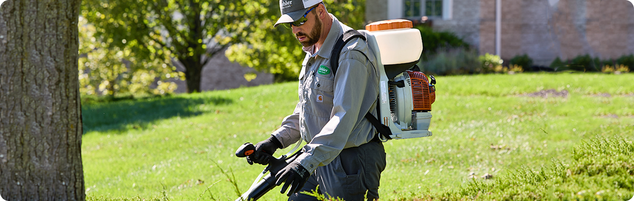 Man spraying for mosquitos