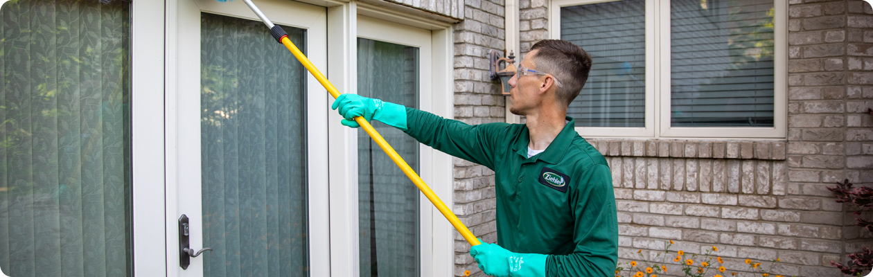 Man clearing cobwebs from window