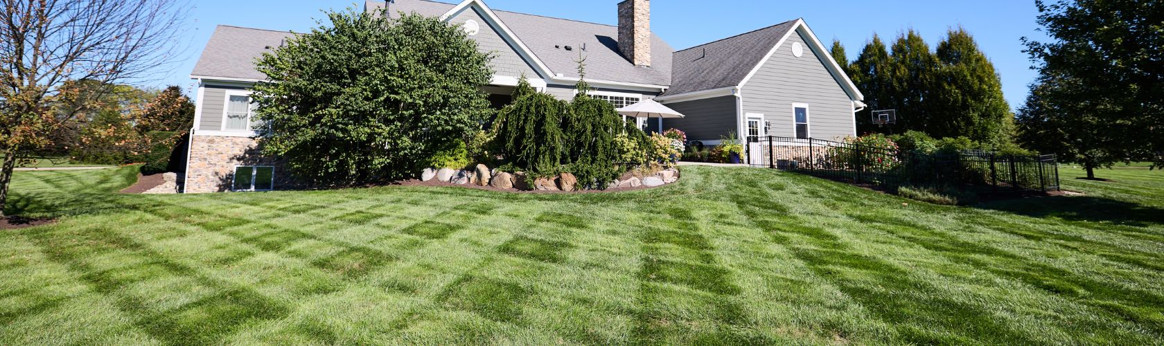 Backyard with Grass and Trees