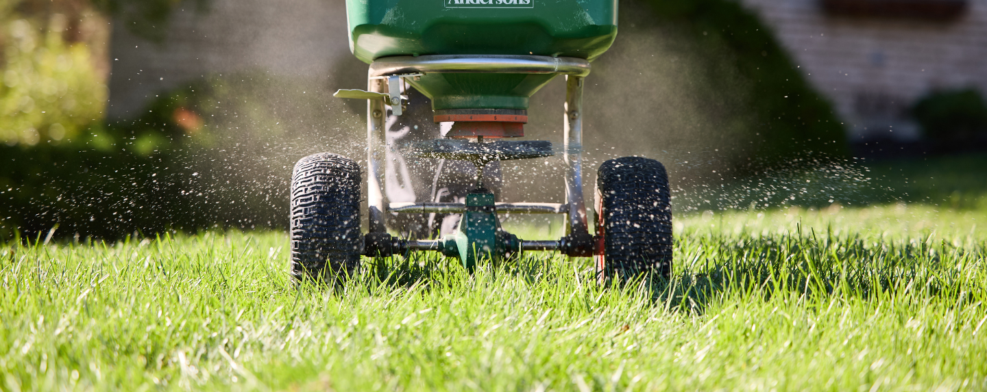 Lawn Fertilization and Weed Control