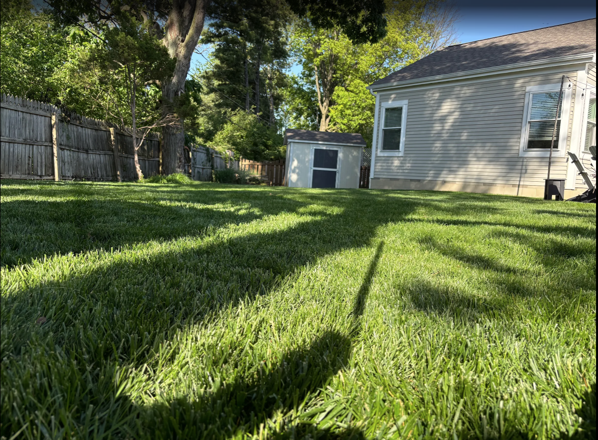 Customer Lawn
