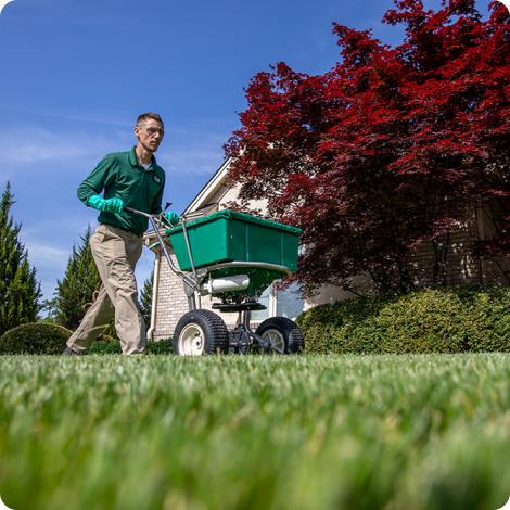 lawn technician caring for lawn