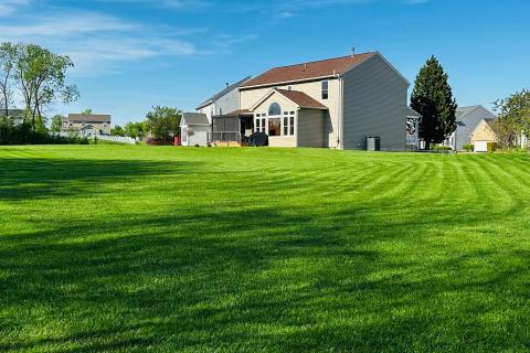 Customer Lawn