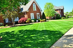Williamson lawn care Dayton Ohio