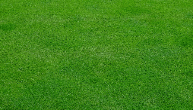 Get A Perfect Lawn In Oakbrook 