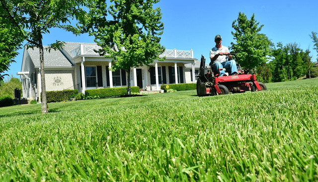 Lawn Care Services In Chestnut Hill 